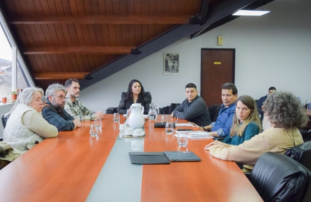 Devita inicia reuniones por perros asilvestrados