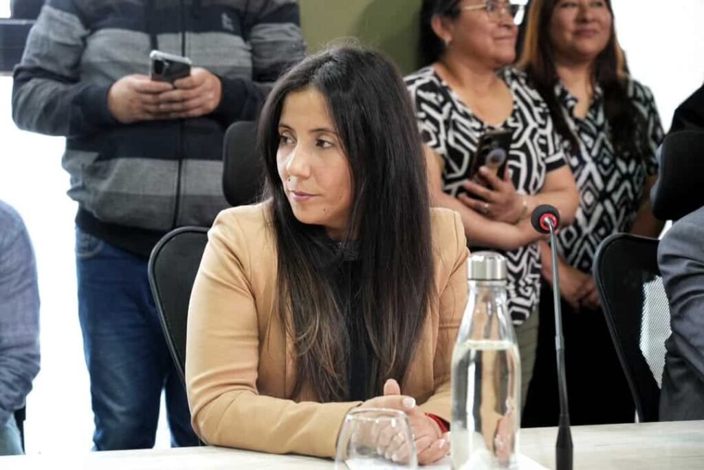 Saldías cuestionó la ampliación del presupuesto de Ushuaia