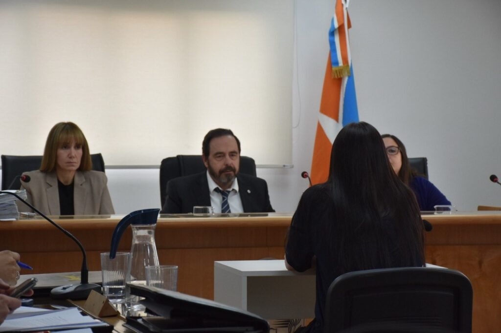 Golpes durante el embarazo y amenazas de muerte: el relato de una víctima ante la Justicia